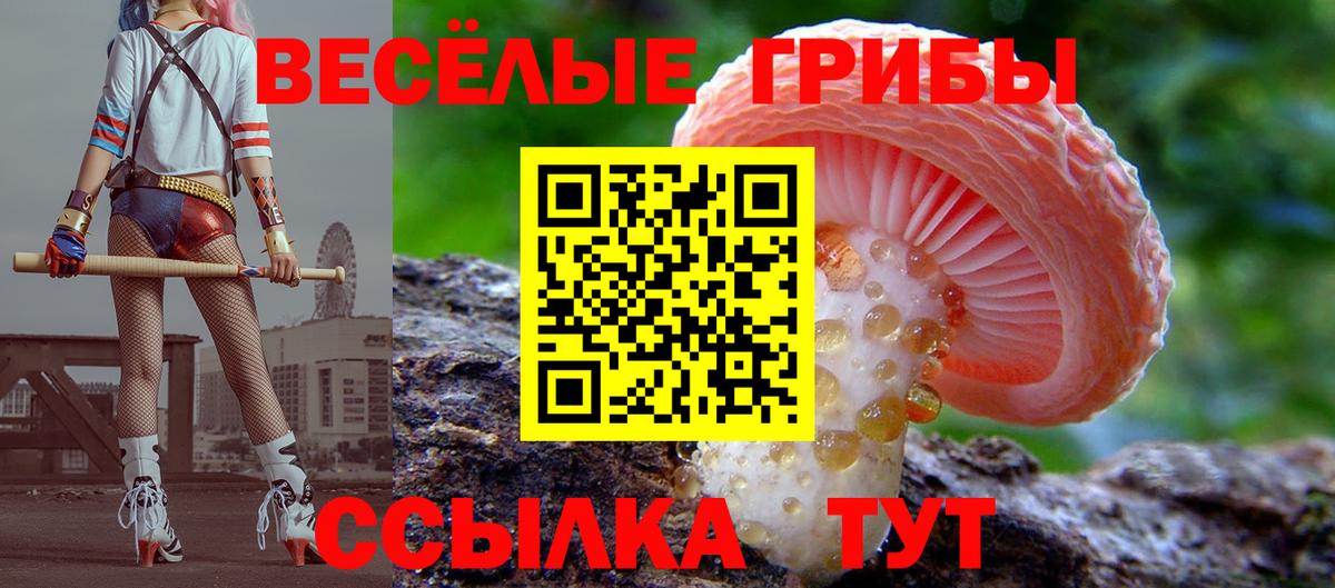 Галлюциногенные грибы Magic Shrooms Коркино