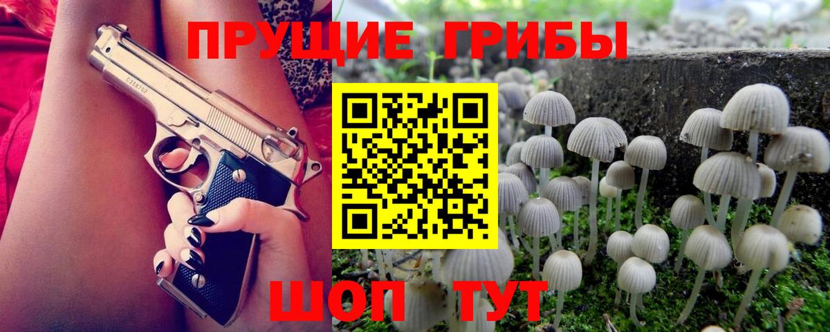 Коркино  Псилоцибиновые грибы Magic Shrooms  Псилоцибиновые грибы мухоморы  Вход с VPN 